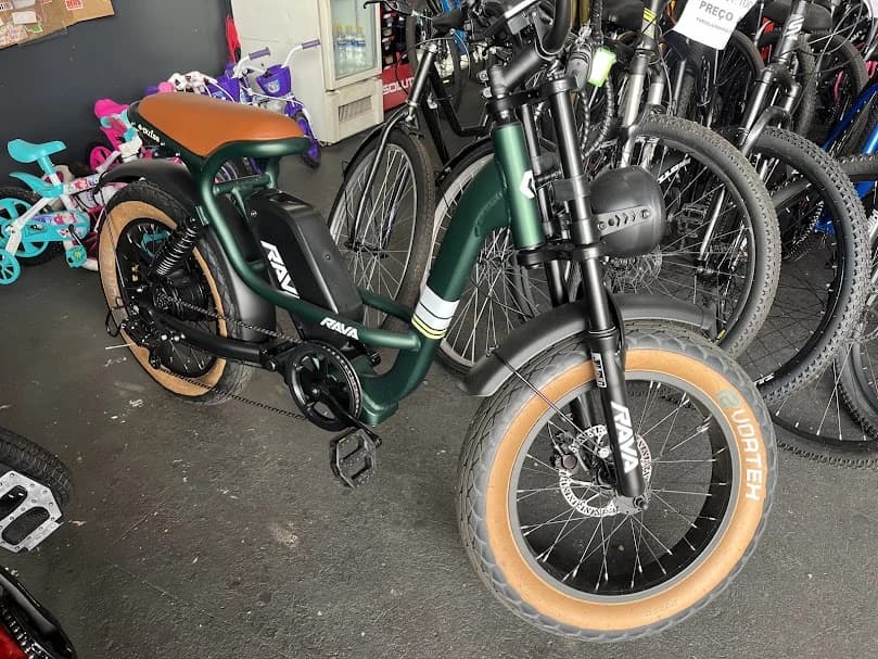 Rava E-Pulse verde recebida pela Pantera