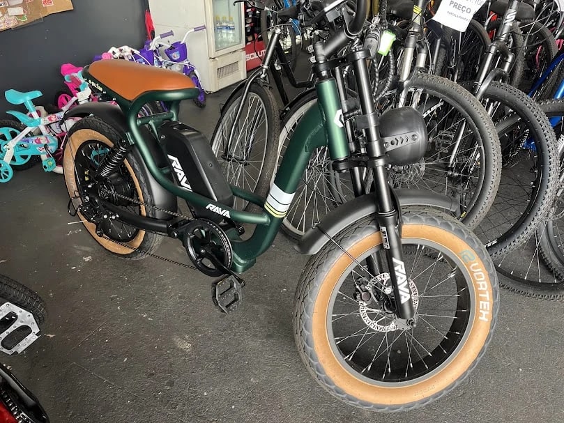 Rava E-Pulse verde recebida pela Pantera